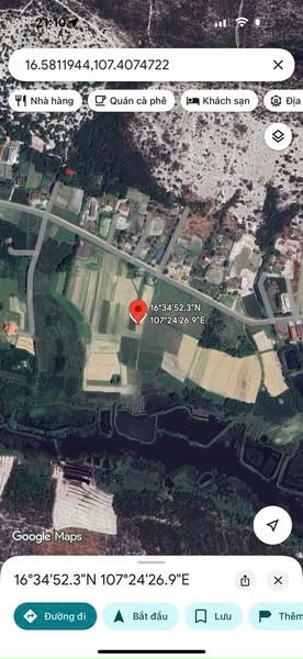 Lô đất trồng cây PHONG HIỀN - PHONG ĐIỀN